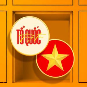 SET PIN CÀI TỔ QUỐC TRONG TIM